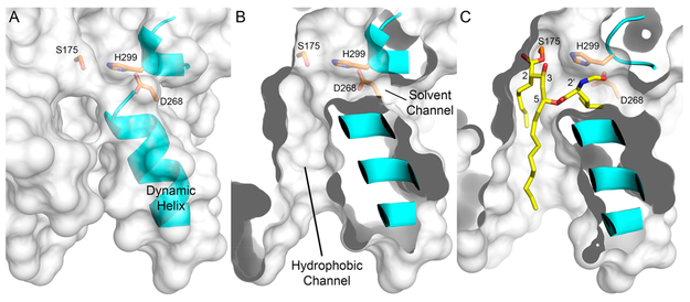 Figure 7.