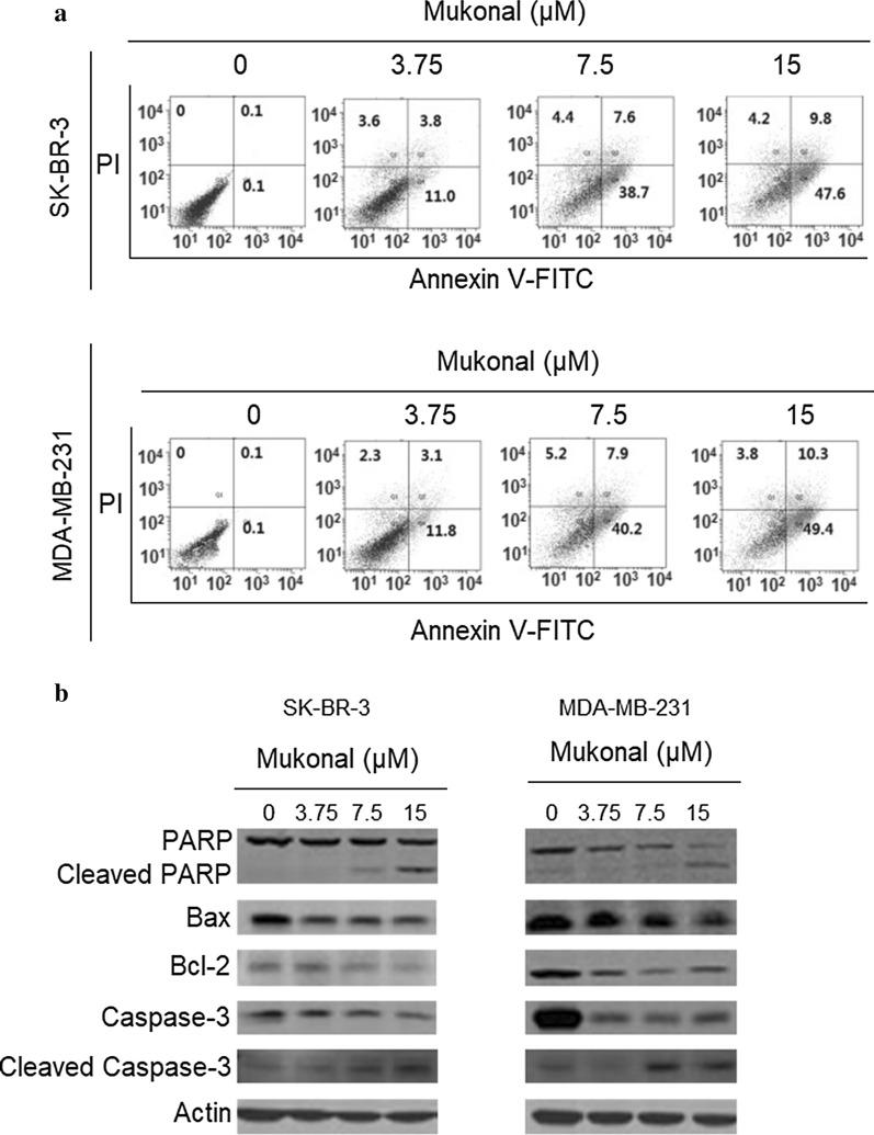 Fig. 3