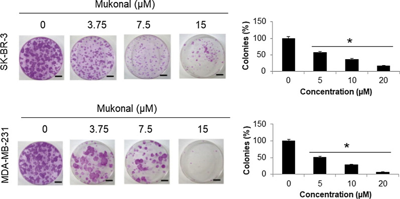 Fig. 2