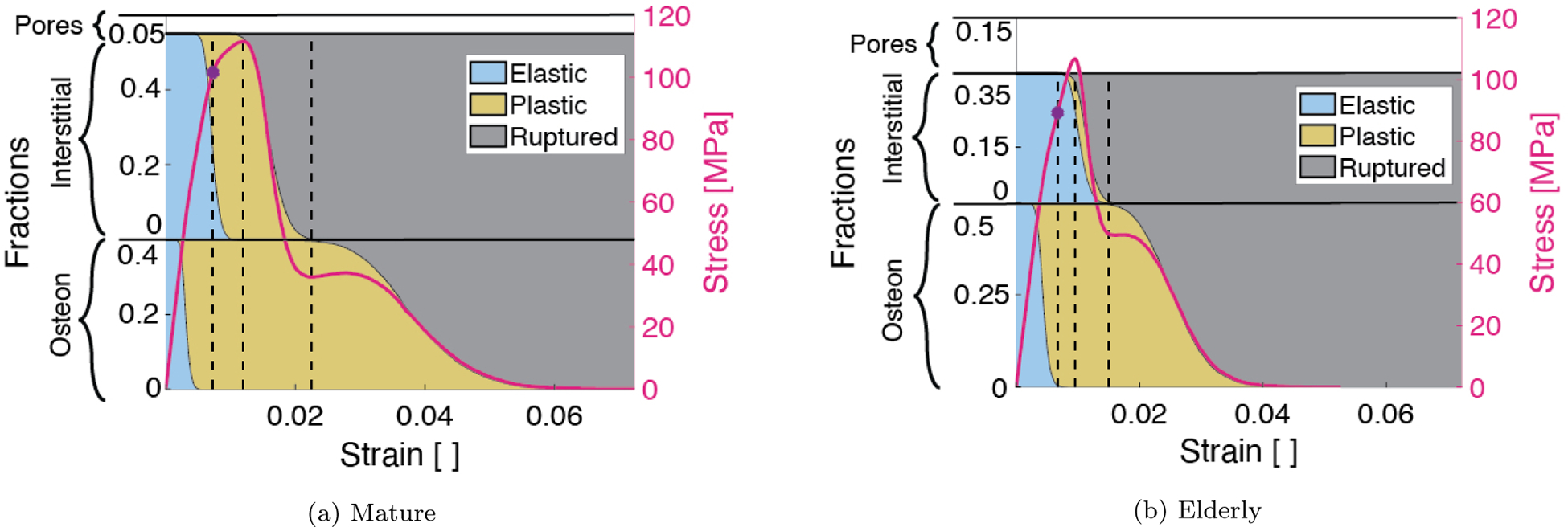 Figure 5: