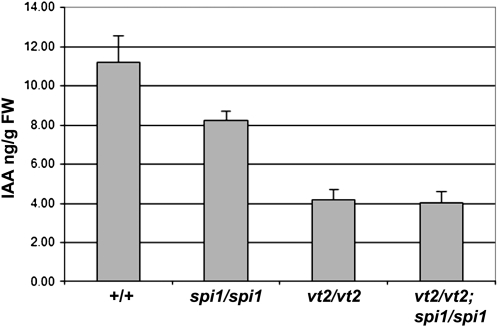 Figure 9.