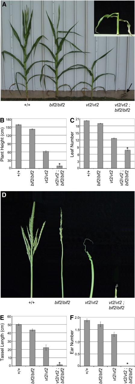 Figure 10.