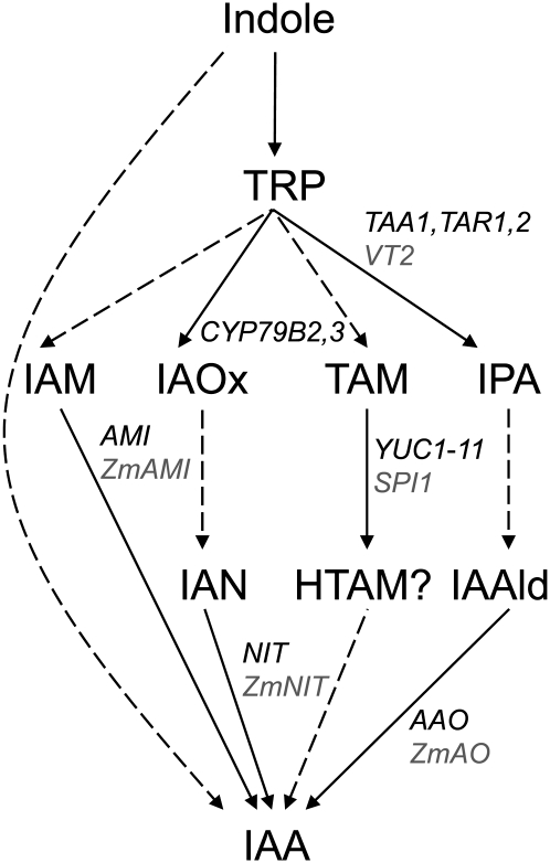 Figure 1.