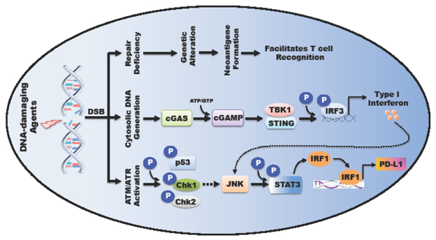 Figure 6: