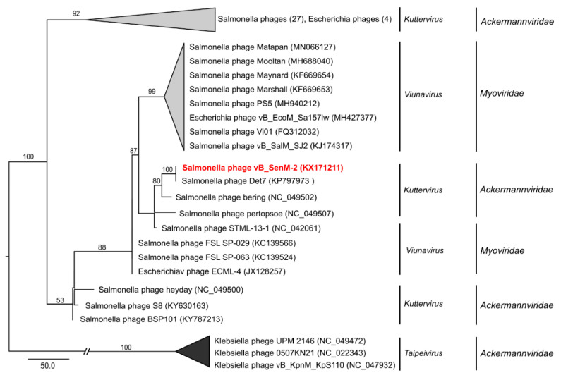 Figure 10