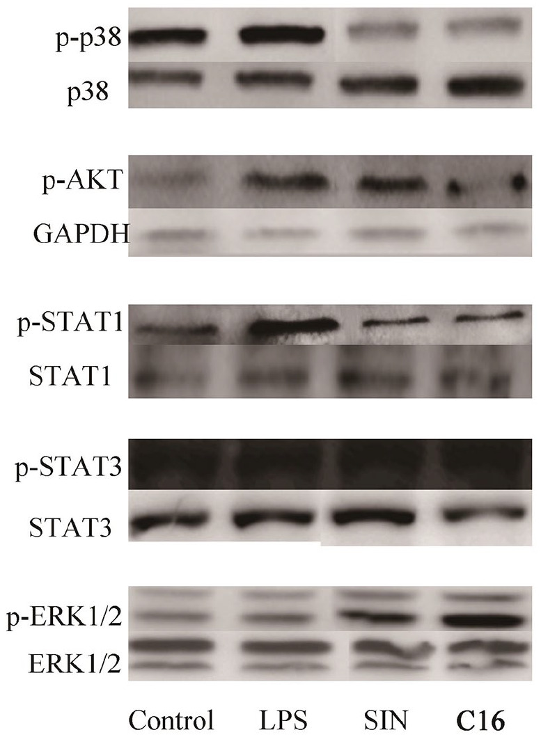 Figure 5.