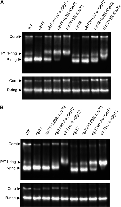 Figure 6.