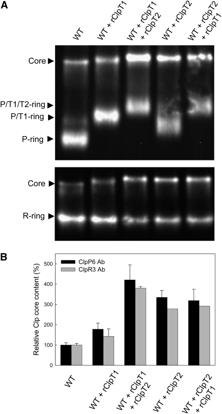 Figure 7.