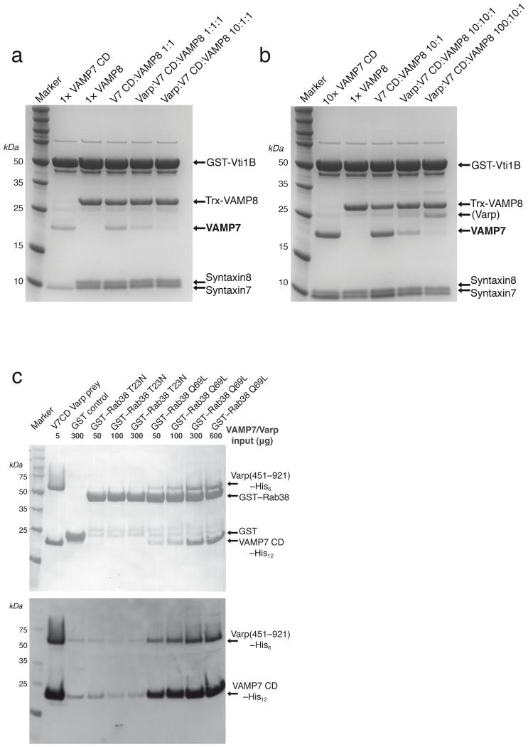 Figure 7