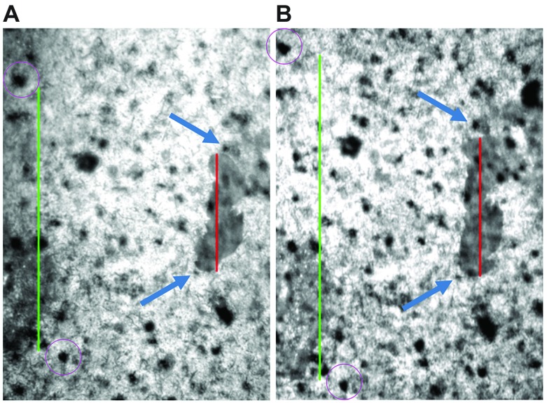 Fig. 4.