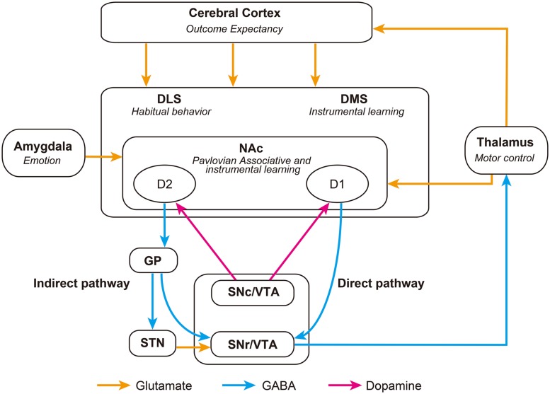 FIGURE 1