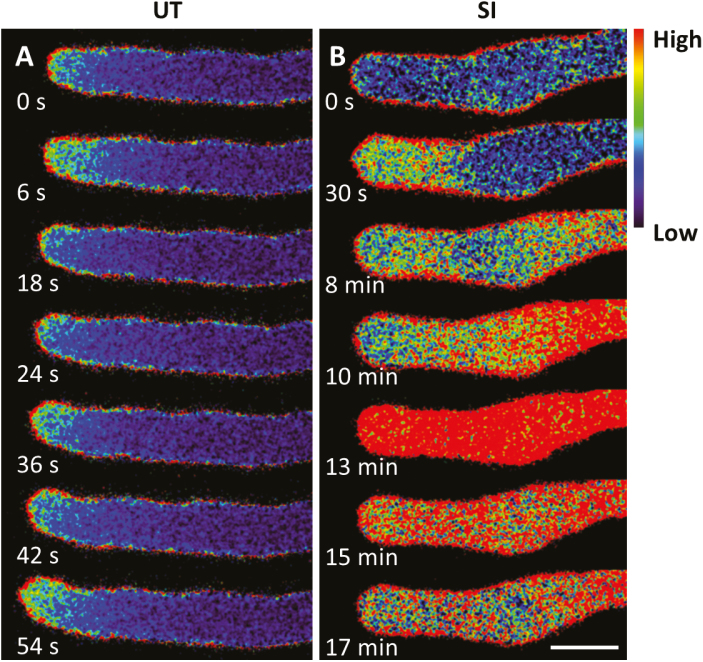 Fig. 3.