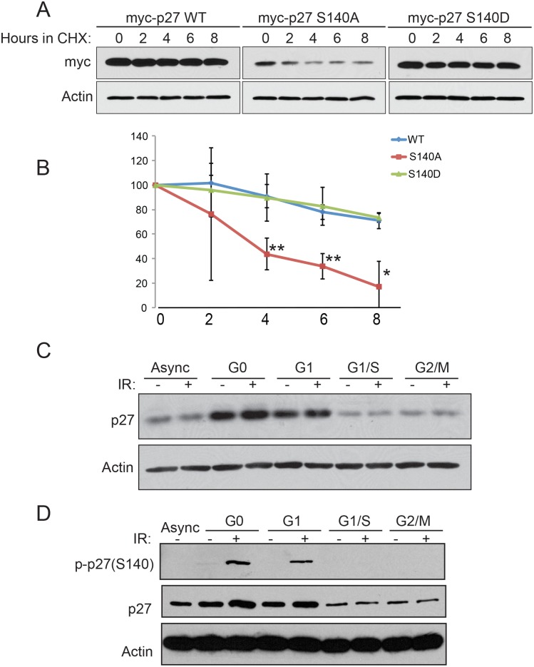 Fig 7