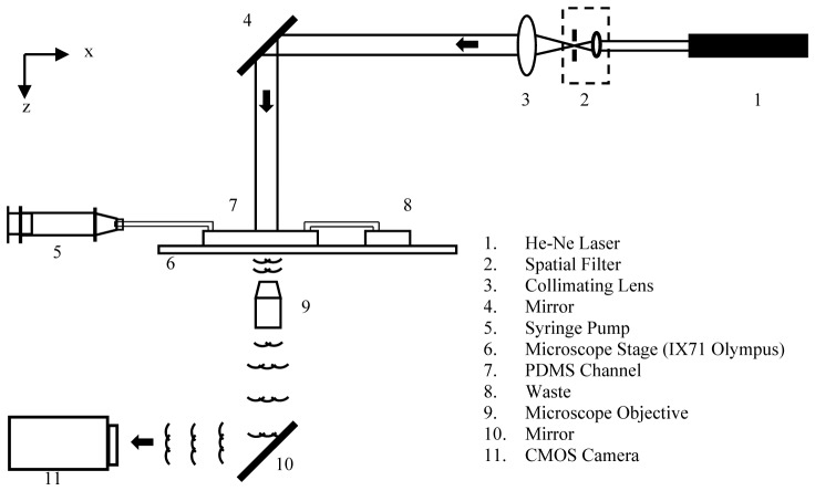 Fig. 1