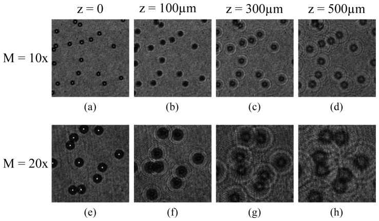 Fig. 4