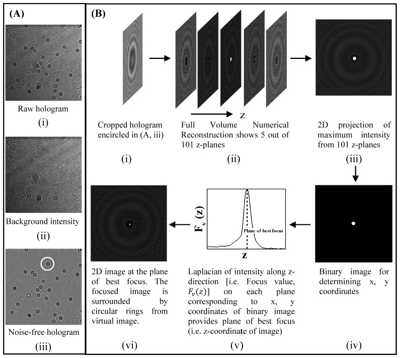 Fig. 2