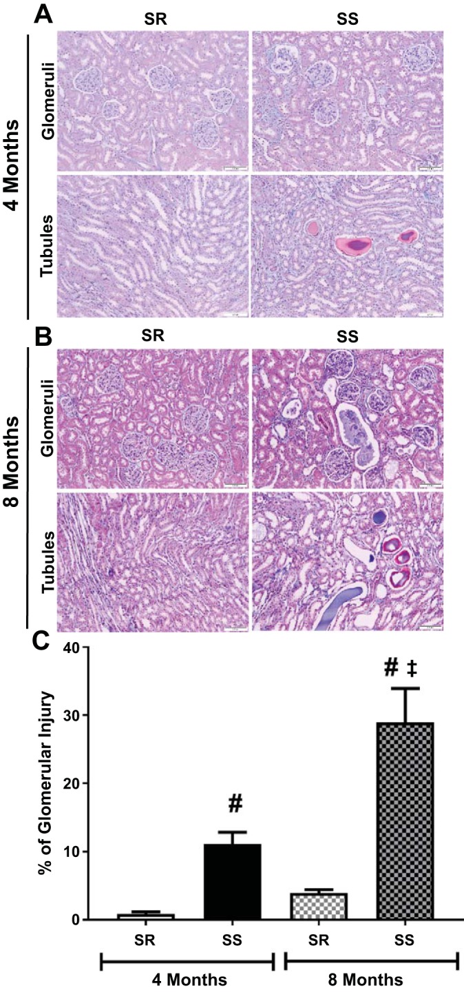 Fig. 6.