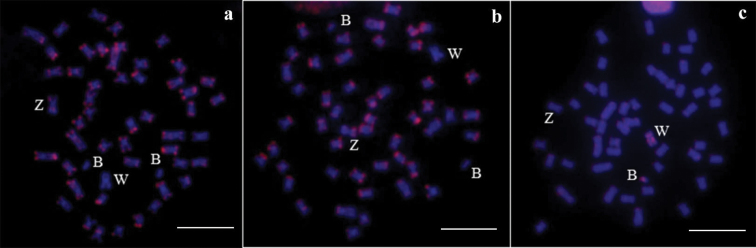 Figure 5.