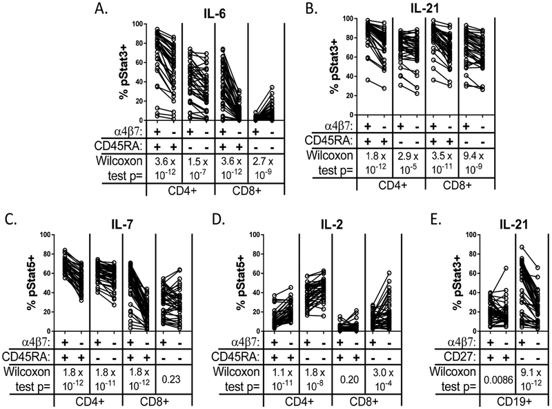 Figure 5: