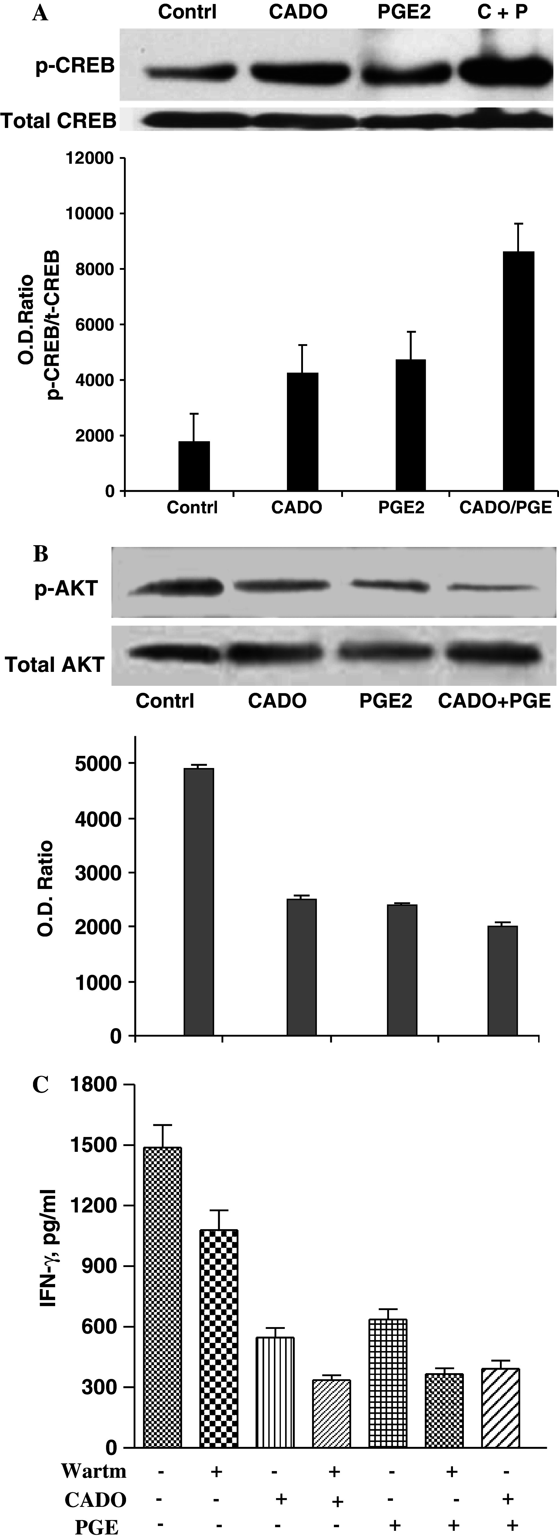 Fig. 4