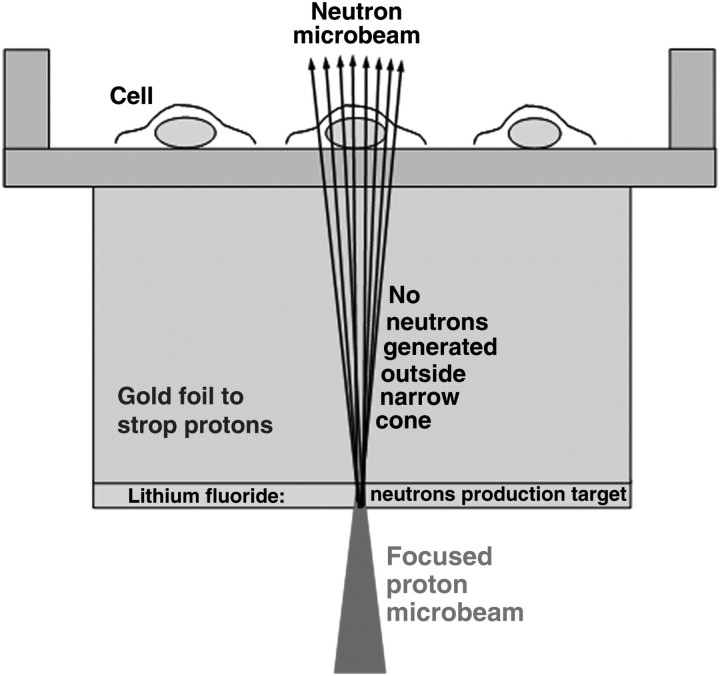 Figure 1.