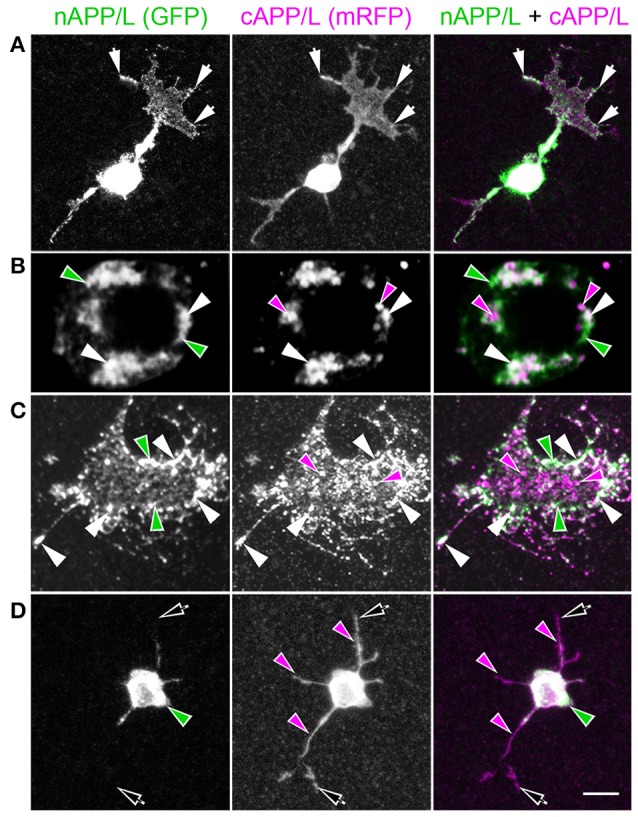 Figure 10