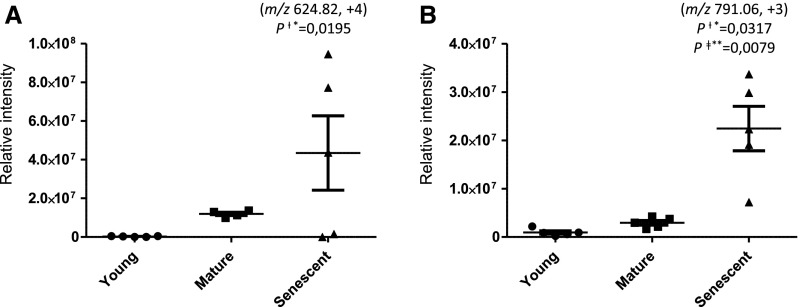 Figure 11.