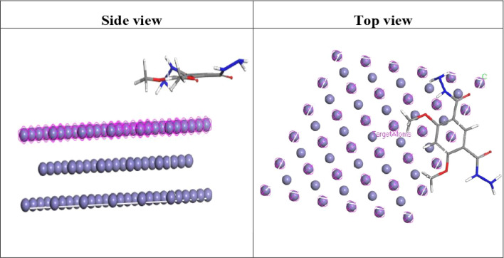 Fig. 10