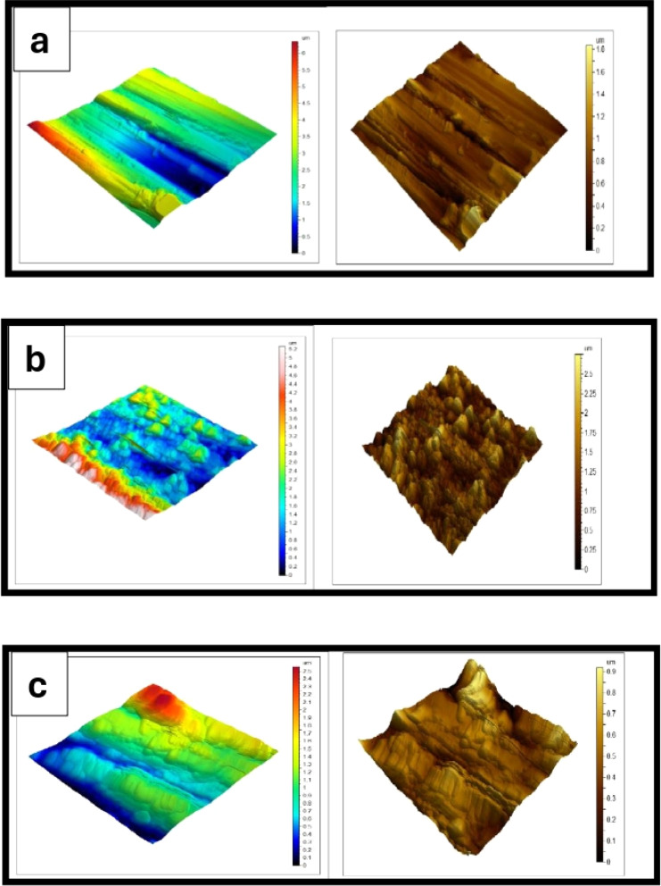 Fig. 8