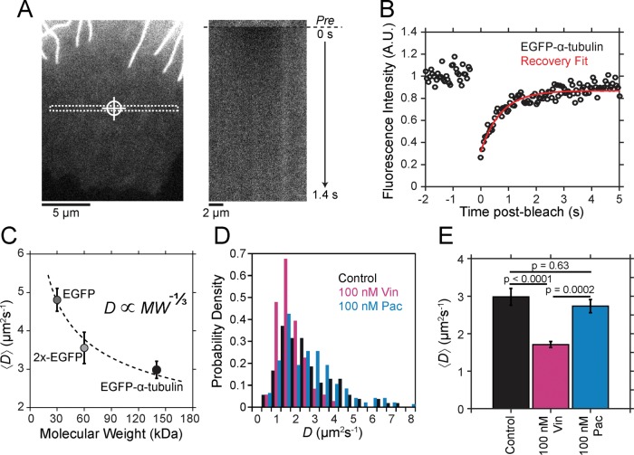 FIGURE 7: