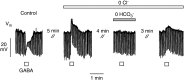 Fig. 10.