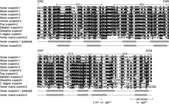 FIGURE 11.