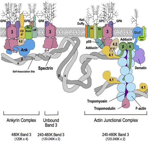 FIGURE 12.