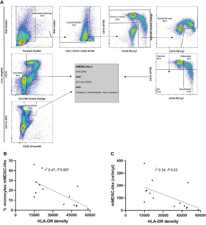 Figure 4