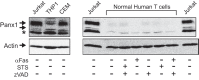 FIGURE 10.