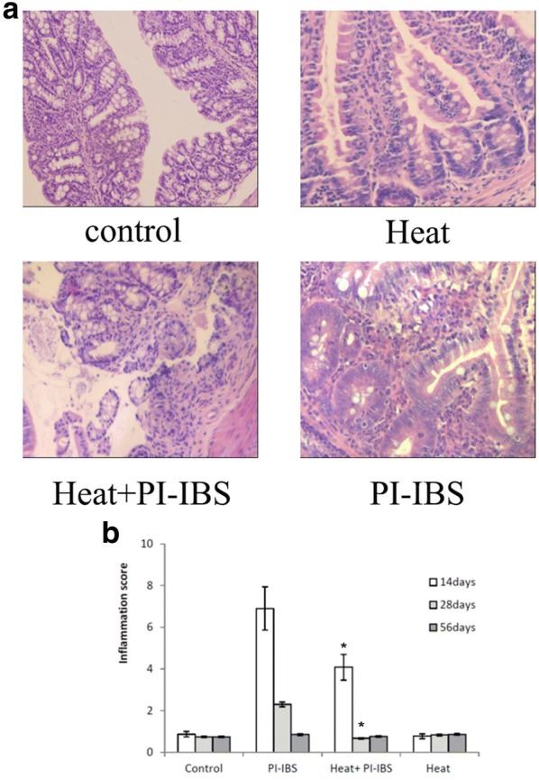 Fig. 3