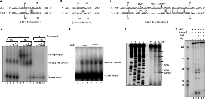 Figure 9.