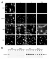 Fig. 14