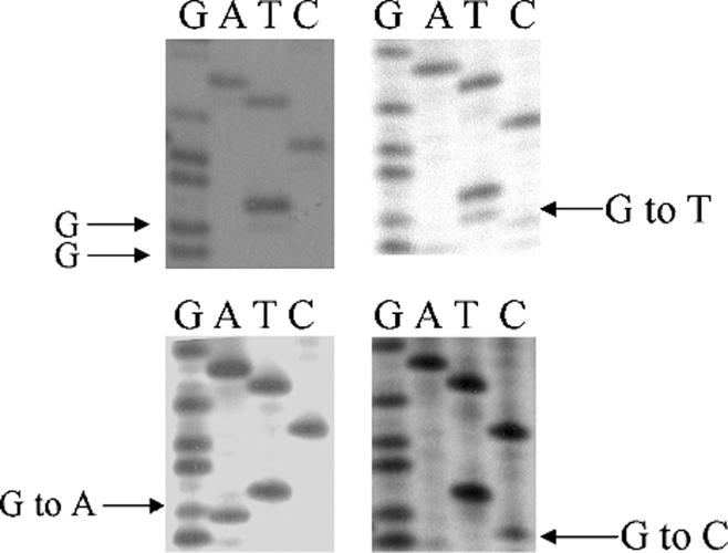 FIGURE 2