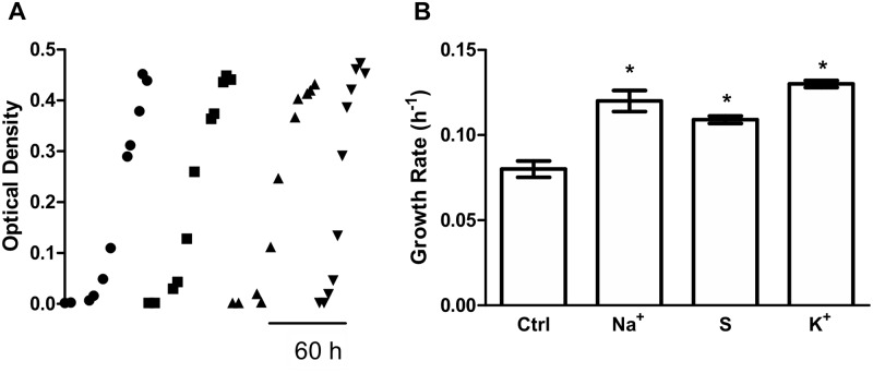 Fig 2