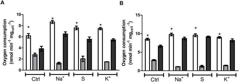 Fig 5