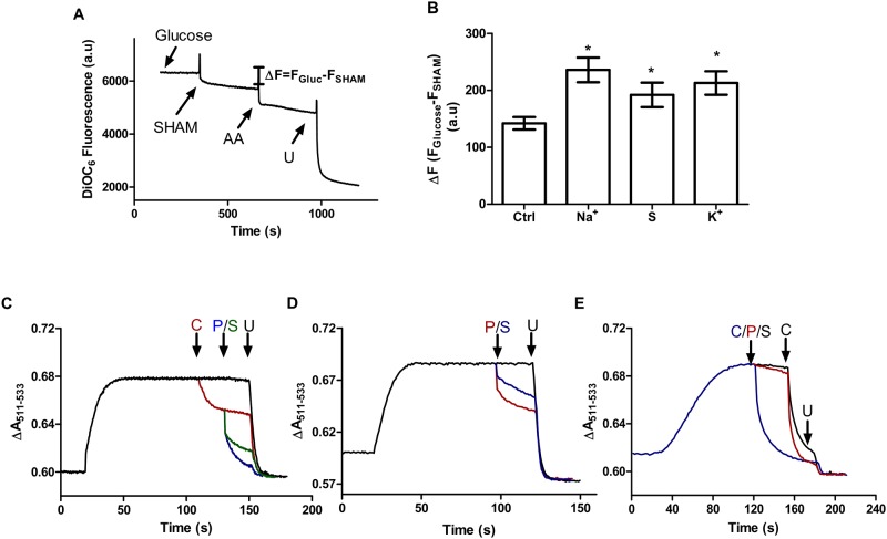 Fig 4