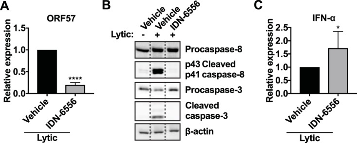 FIG 6