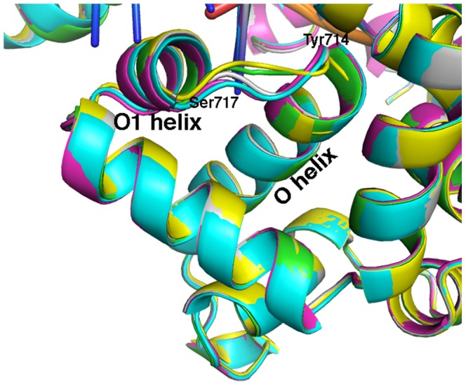 Figure 12