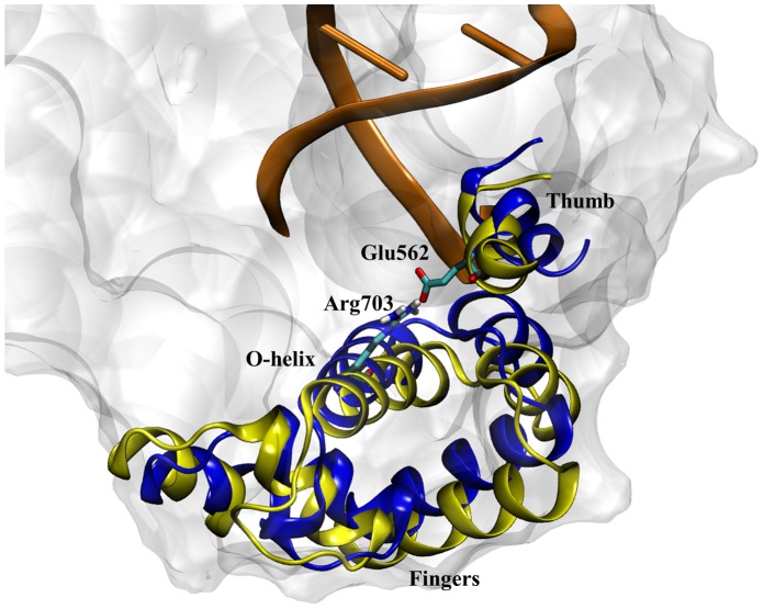 Figure 7