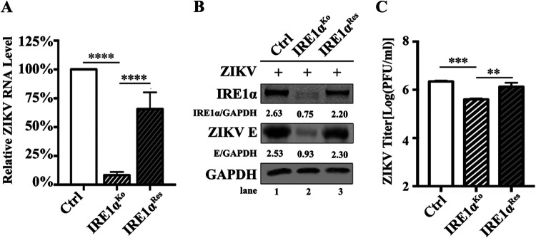 FIG 2