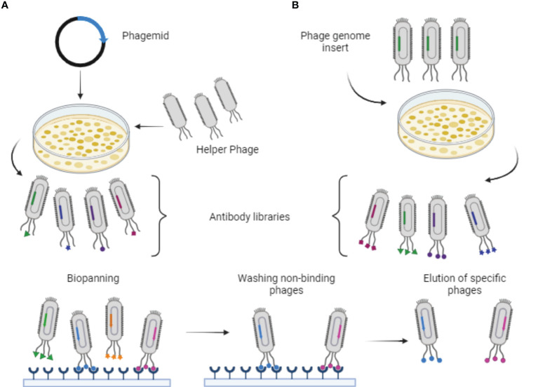 Figure 2