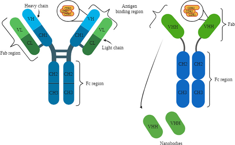 Figure 1