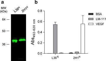 Fig. 4