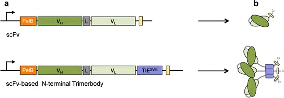 Fig. 1